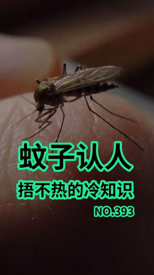 爆料大蚊子的视频播放大全,惊悚瞬间尽收眼底 第2张 爆料大蚊子的视频播放大全,惊悚瞬间尽收眼底 第2张