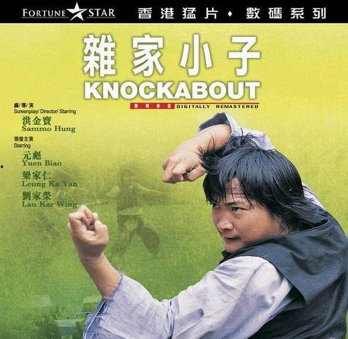 杂家小子在线观看,穿越时空的智慧之旅  第1张