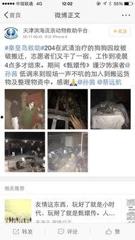 娱乐圈爆料流浪狗是谁啊,流浪狗身份揭秘！  第3张